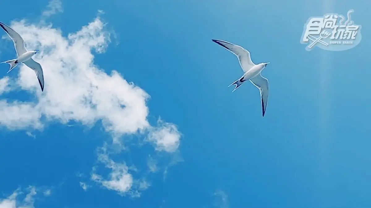 親子出遊新玩法！搭遊艇登「龍蝦島」賞天然水族箱，還能吃超鮮甜現煮「龍蝦泡麵」