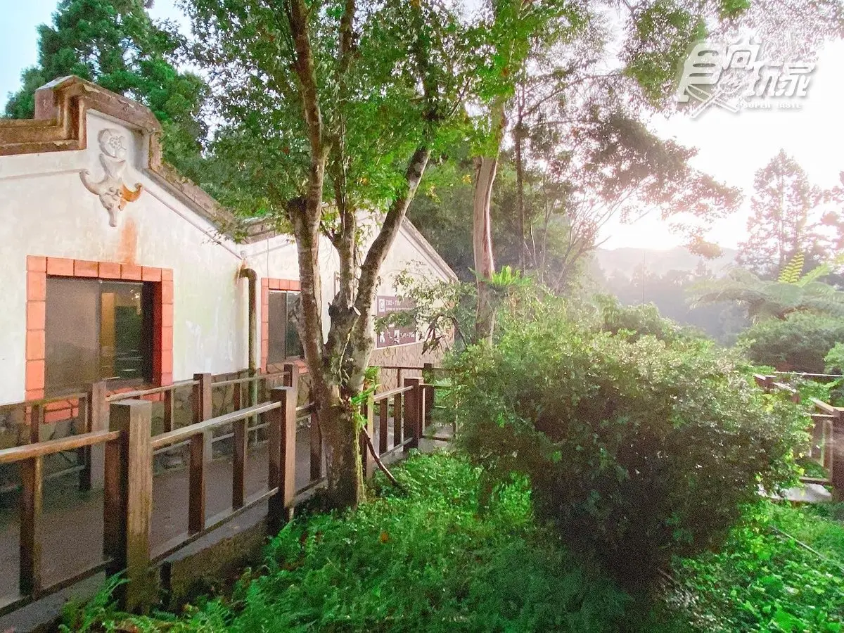 全台最美森林唯一飯店!打卡必拍無敵山景、松鼠一起野餐,每人每晚最低900元 全台最美森林唯一飯店!打卡必拍無敵山景、松鼠一起野餐,每人每晚最低900元