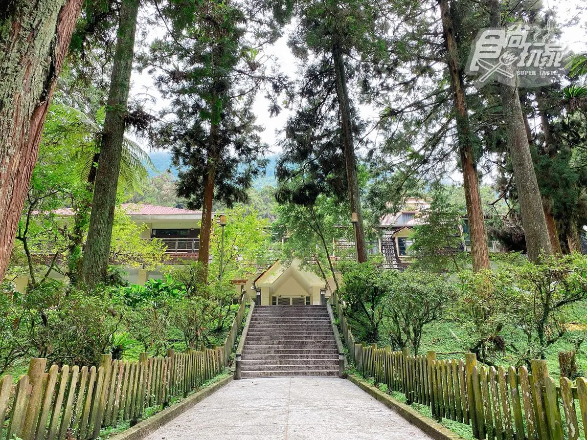 全台最美森林唯一飯店!打卡必拍無敵山景、松鼠一起野餐,每人每晚最低900元 全台最美森林唯一飯店!打卡必拍無敵山景、松鼠一起野餐,每人每晚最低900元