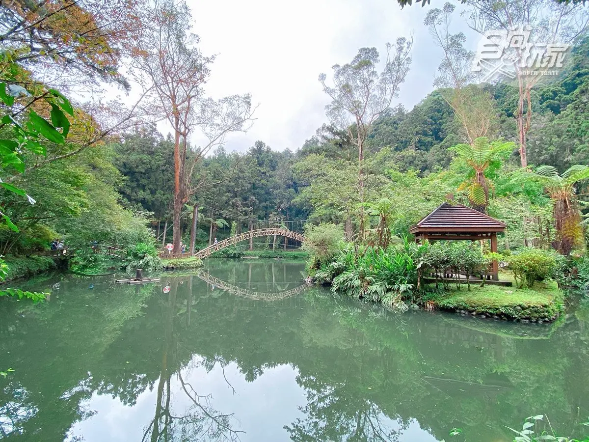 全台最美森林唯一飯店！打卡必拍無敵山景、松鼠一起野餐，每人每晚最低900元