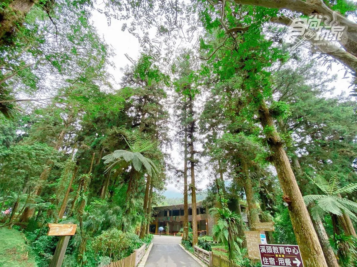 全台最美森林唯一飯店!打卡必拍無敵山景、松鼠一起野餐,每人每晚最低900元 全台最美森林唯一飯店!打卡必拍無敵山景、松鼠一起野餐,每人每晚最低900元