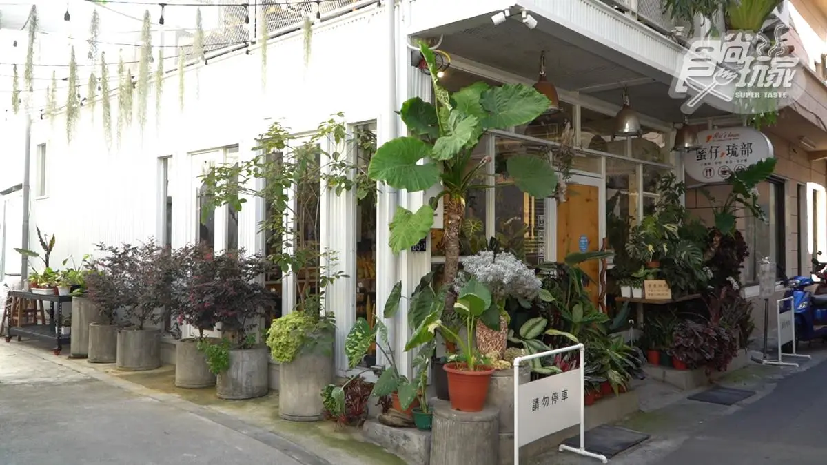 IG超夯純白餐廳！打卡必拍森林系空間，先嗑整尾龍蝦義大利麵、琉球香腸披薩