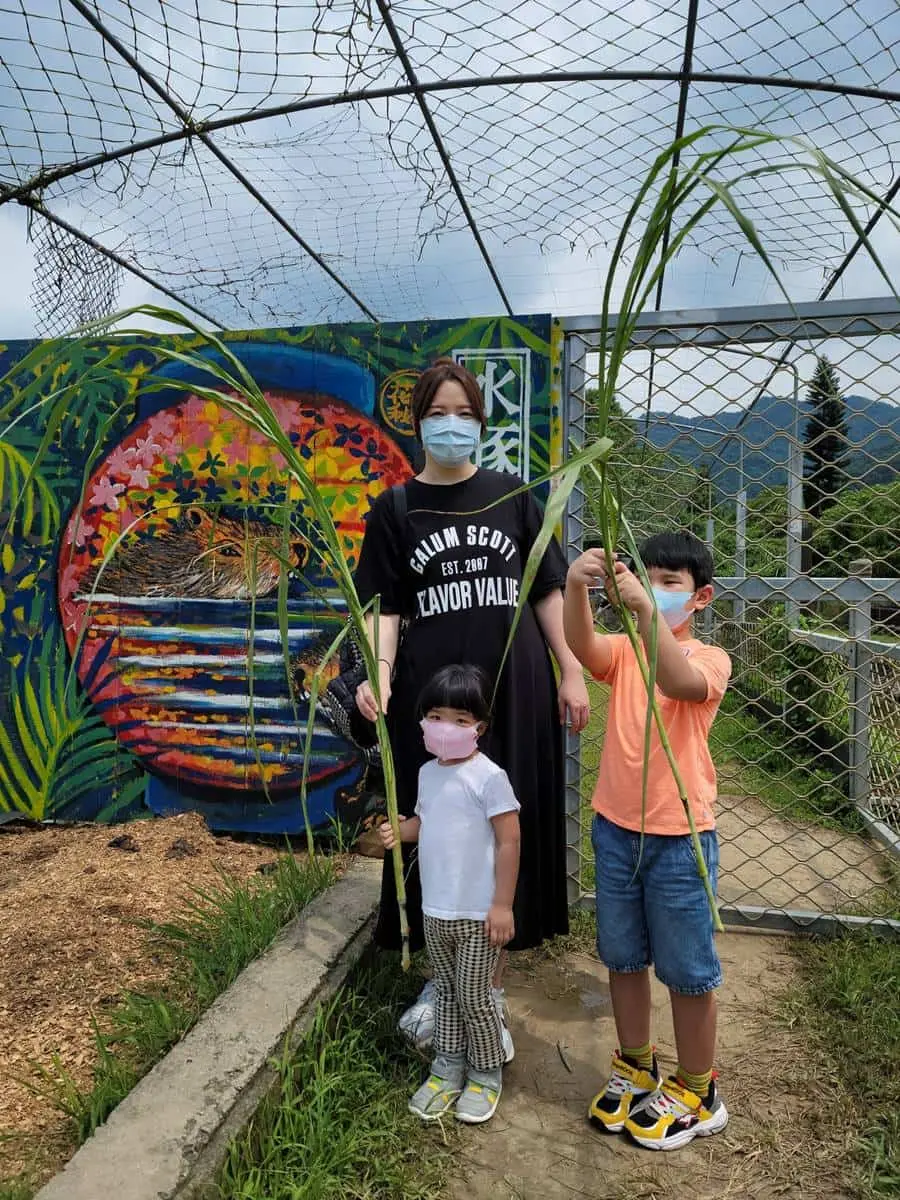 親子出遊首選!桃園生態農場餵食超萌「水豚君」,還有小孩最愛釣蝦區 親子出遊首選!桃園生態農場餵食超萌「水豚君」,還有小孩最愛釣蝦區