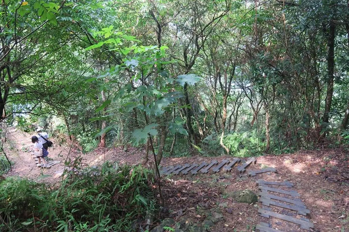 森林系水水必衝!石碇祕境1日6行程:打卡鱷魚島、美拍古道吊橋、陶藝DIY 森林系水水必衝!石碇祕境1日6行程:打卡鱷魚島、美拍古道吊橋、陶藝DIY