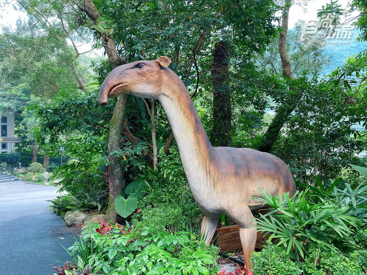 恐龍迷注意!溫泉飯店推「遠古生物展」,必拍7公尺金剛、霸王龍互動有叫聲 恐龍迷注意!溫泉飯店推「遠古生物展」,必拍7公尺金剛、霸王龍互動有叫聲
