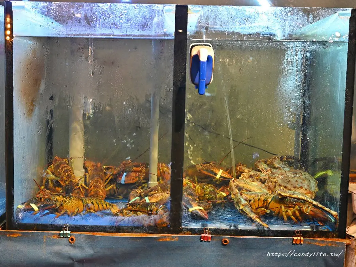 痛風也要吃!台中超狂「海鮮爆料鍋」爽嗑2斤蛤蜊,飽滿土雞佛一咬會噴汁 痛風也要吃!台中超狂「海鮮爆料鍋」爽嗑2斤蛤蜊,飽滿土雞佛一咬會噴汁