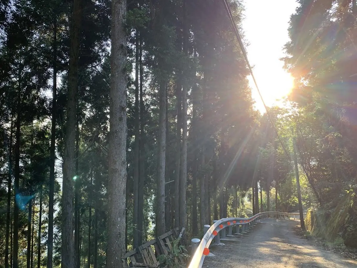 專車接駁超輕鬆!苗栗祕境登山步道賞「雪山聖稜線」,還能美拍森林鐵道 專車接駁超輕鬆!苗栗祕境登山步道賞「雪山聖稜線」,還能美拍森林鐵道
