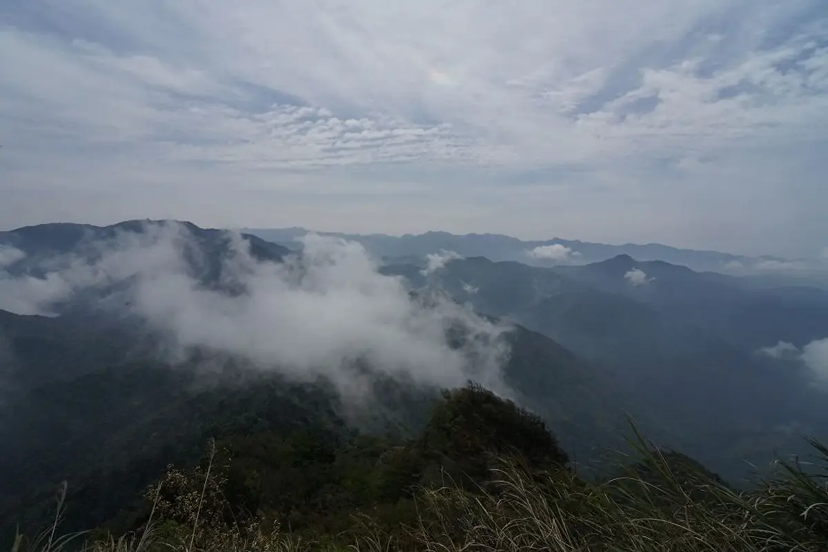 專車接駁超輕鬆!苗栗祕境登山步道賞「雪山聖稜線」,還能美拍森林鐵道 專車接駁超輕鬆!苗栗祕境登山步道賞「雪山聖稜線」,還能美拍森林鐵道
