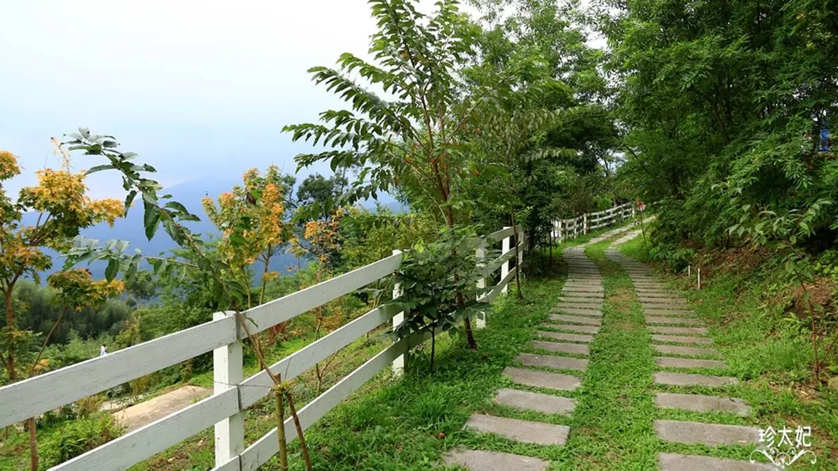 水水快衝!新竹高海拔「祕境小屋」打卡天空階梯,還有小朋友最愛動物區 水水快衝!新竹高海拔「祕境小屋」打卡天空階梯,還有小朋友最愛動物區