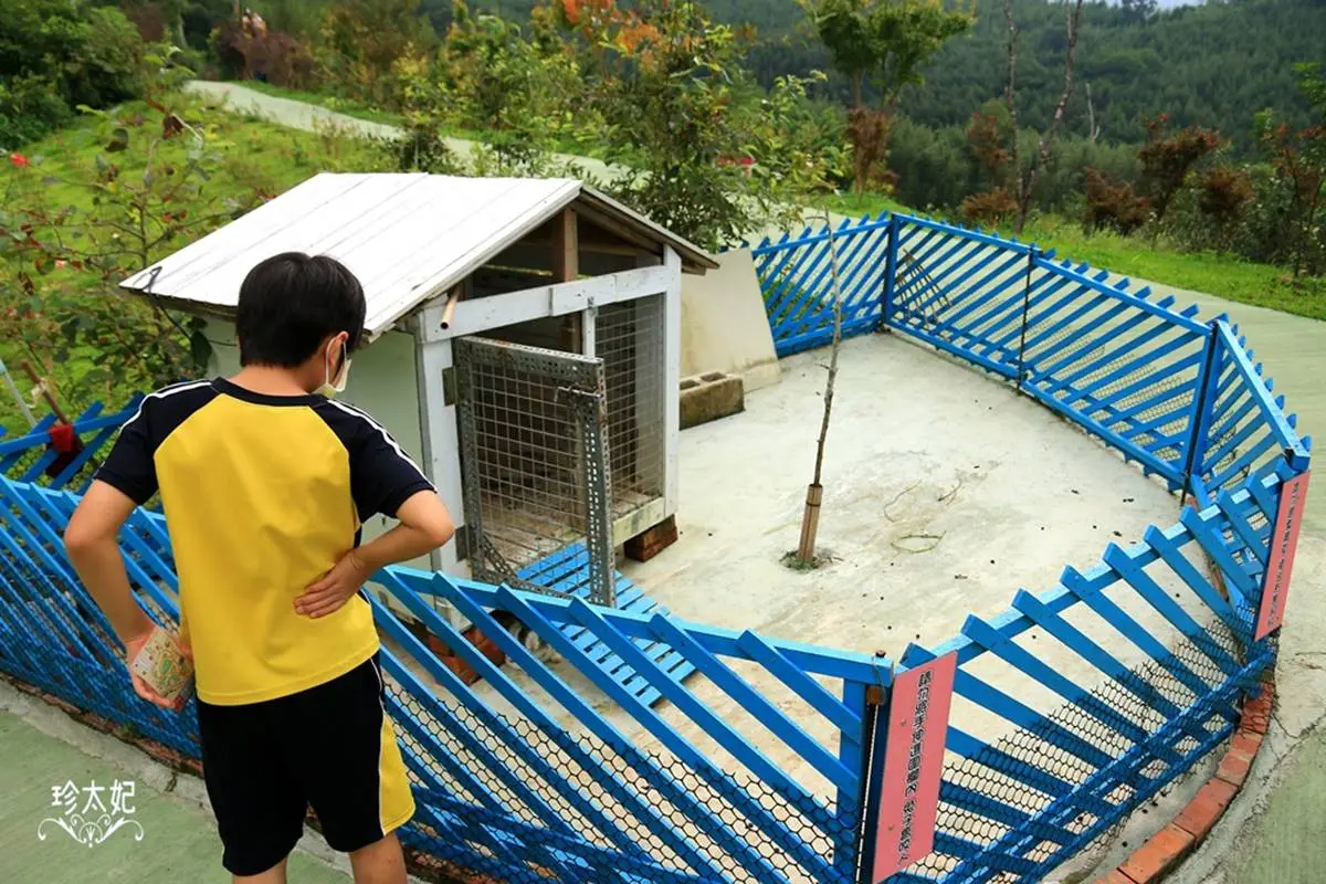 水水快衝!新竹高海拔「祕境小屋」打卡天空階梯,還有小朋友最愛動物區 水水快衝!新竹高海拔「祕境小屋」打卡天空階梯,還有小朋友最愛動物區