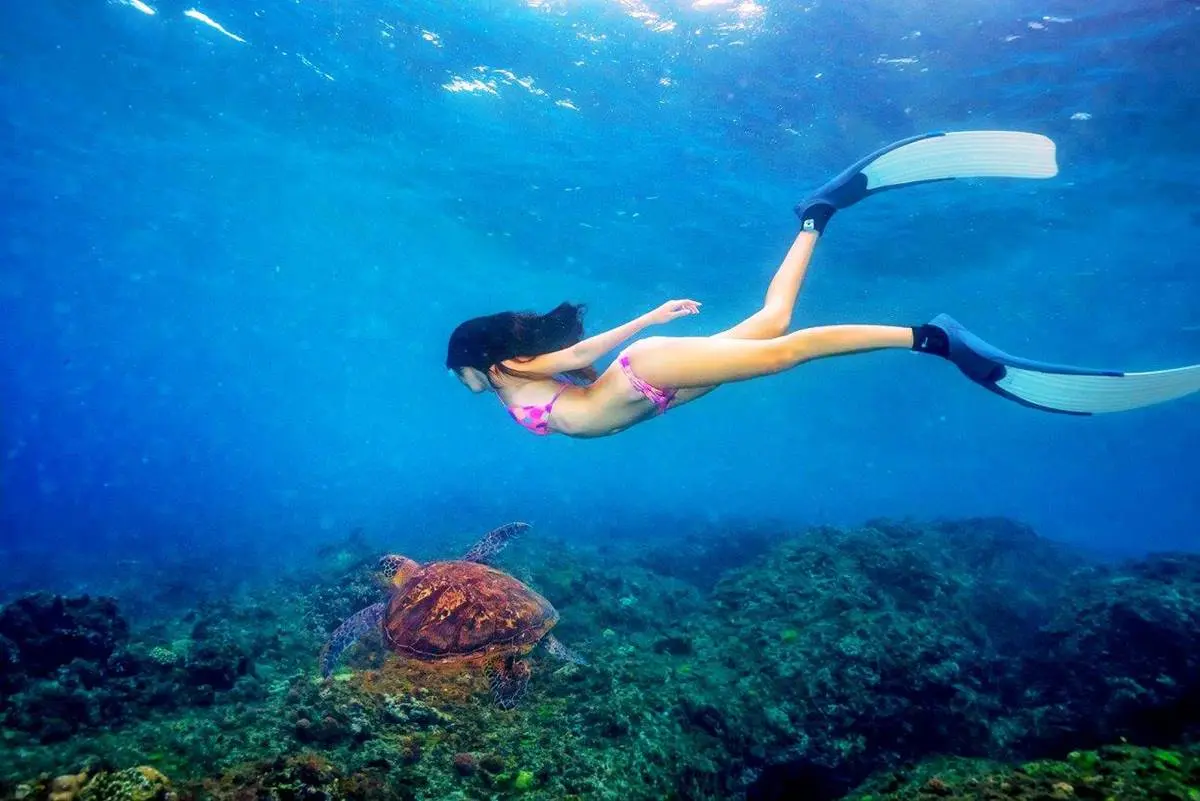 網美必衝！墾丁預約制「潛水活動」體驗變身美人魚，還能與海龜共遊海底世界