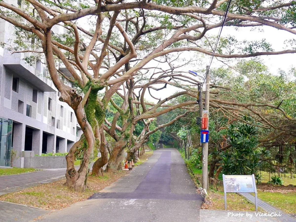 打卡透明觀景台!基隆「祕境步道」飽覽八斗子海景,還能探尋隱藏版台電遺跡 打卡透明觀景台!基隆「祕境步道」飽覽八斗子海景,還能探尋隱藏版台電遺跡