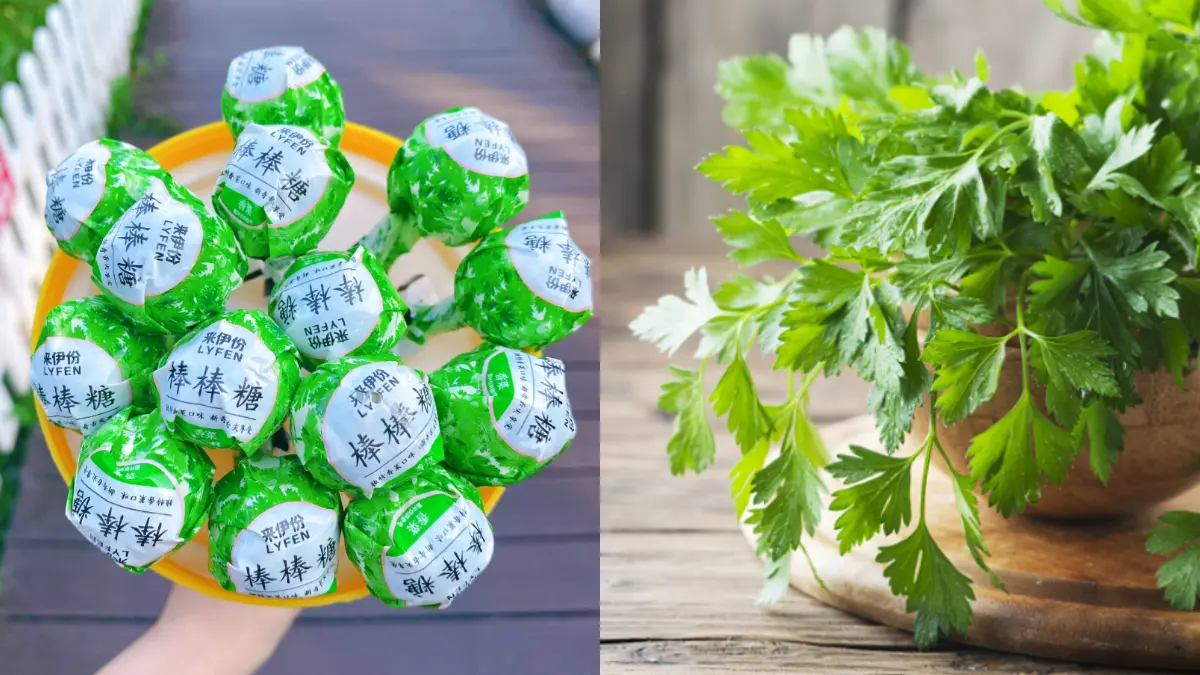 香菜控站出來！超巨大「香菜棒棒糖」12支一次擁有，清爽酸甜太欠吃