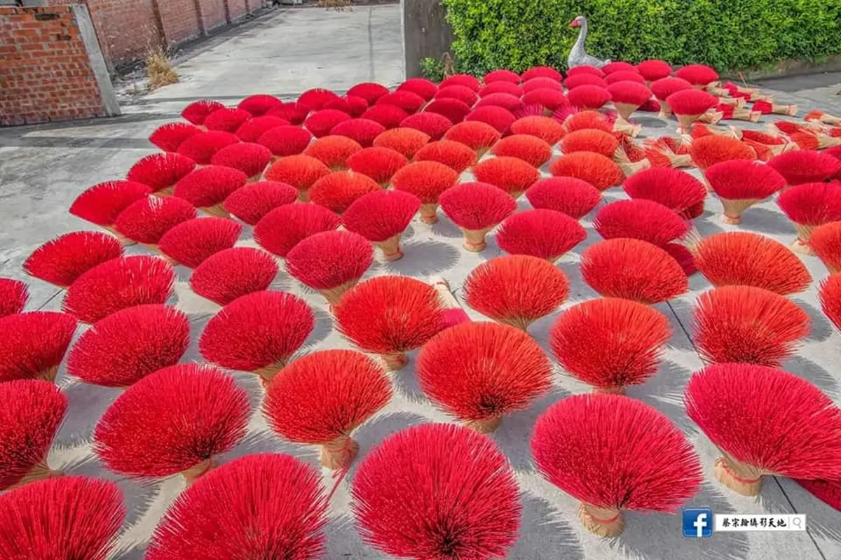「粉紅波波草花海」夢幻必拍!嘉義曬香腳超吸睛,網驚呼:像巨大粉撲 「粉紅波波草花海」夢幻必拍!嘉義曬香腳超吸睛,網驚呼:像巨大粉撲