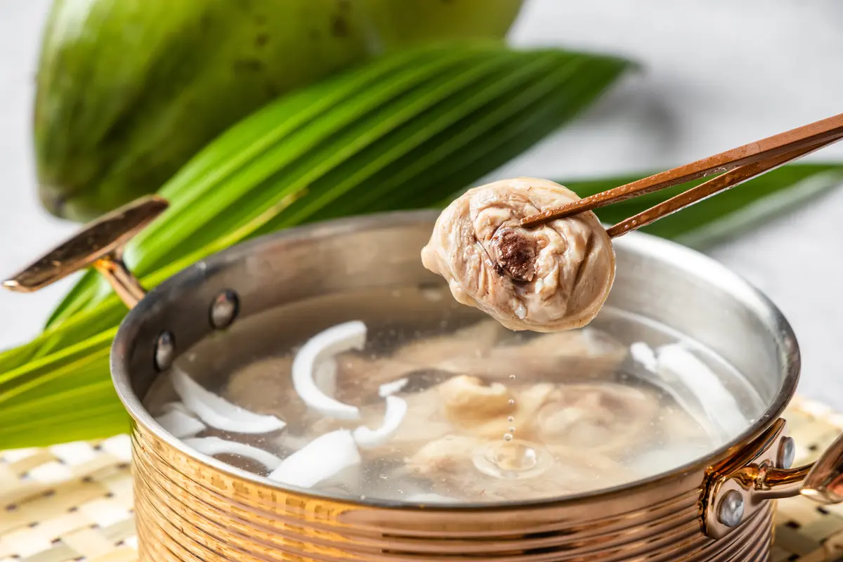 【新開店】約吃椰子雞湯鍋了！「肉多多」新品牌在新北，開幕再送海鮮盤