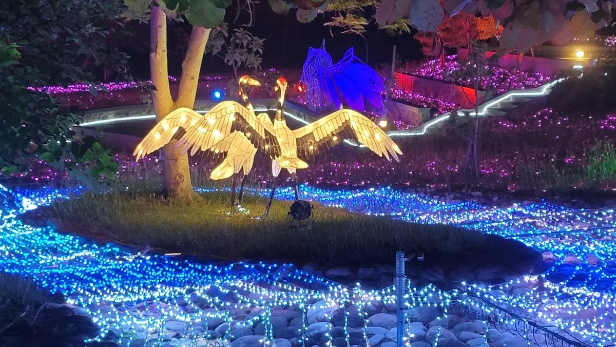 全台最南燈會「四重溪溫泉季」!櫻花隧道、日式神社必拍,加碼免費浴衣體驗 全台最南燈會「四重溪溫泉季」!櫻花隧道、日式神社必拍,加碼免費浴衣體驗