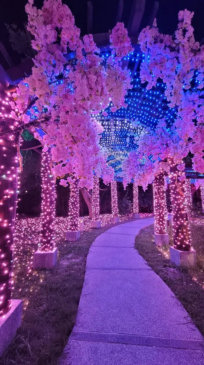 全台最南燈會「四重溪溫泉季」!櫻花隧道、日式神社必拍,加碼免費浴衣體驗 全台最南燈會「四重溪溫泉季」!櫻花隧道、日式神社必拍,加碼免費浴衣體驗