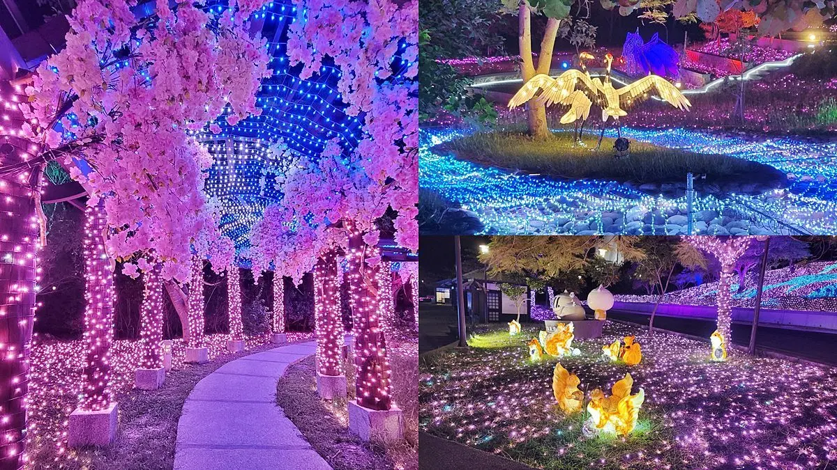 全台最南燈會「四重溪溫泉季」!櫻花隧道、日式神社必拍,加碼免費浴衣體驗