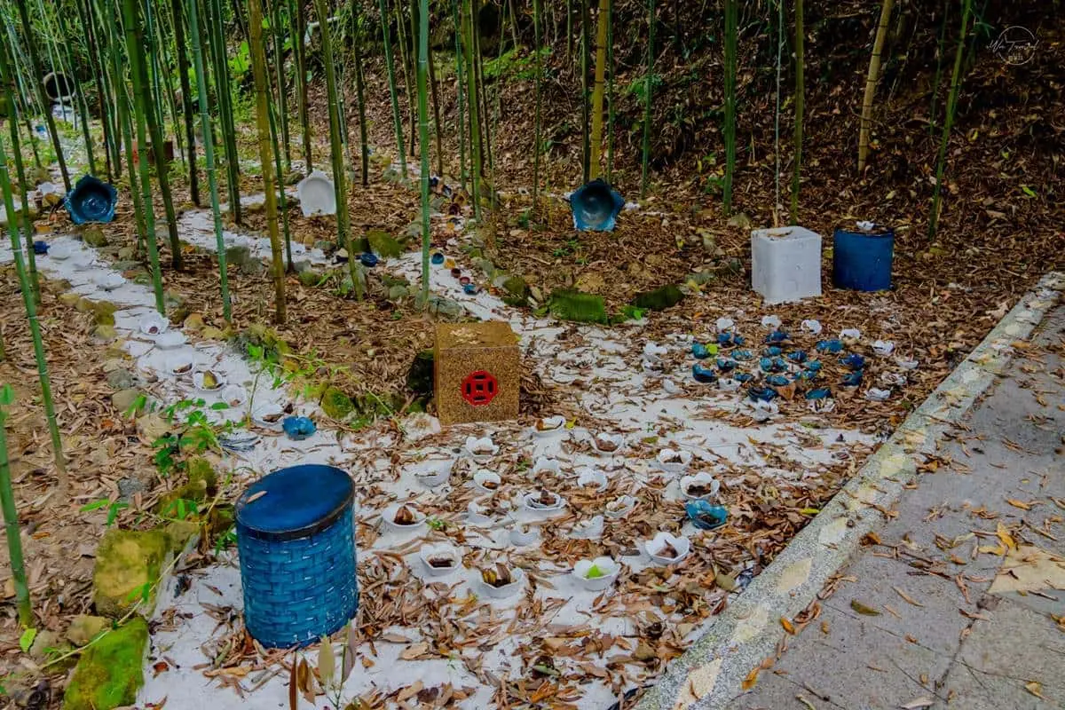 苗栗神祕網美景點!打卡百年水圳古道,美拍「大鳥巢」、純白編織床 苗栗神祕網美景點!打卡百年水圳古道,美拍「大鳥巢」、純白編織床