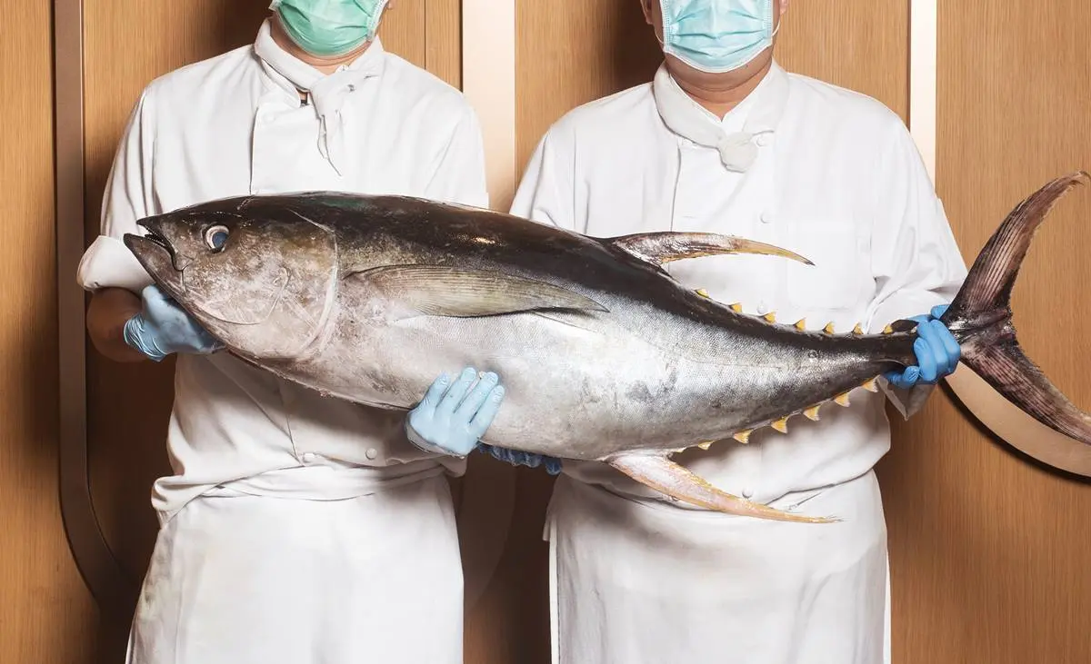 現省200元螃蟹吃到飽！超過30種飯店海鮮無限拿，加碼「整尾鮪魚」現切
