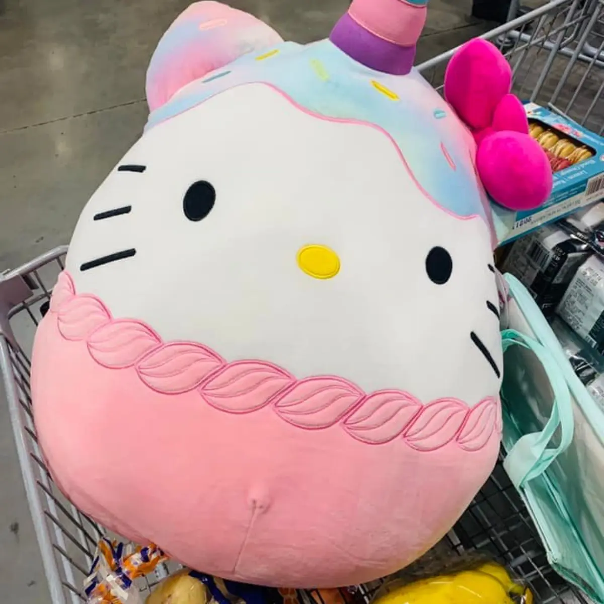 Kitty粉先衝好市多！20吋三麗鷗玩偶「獨角獸Kitty、粉色美樂蒂」快抱回家