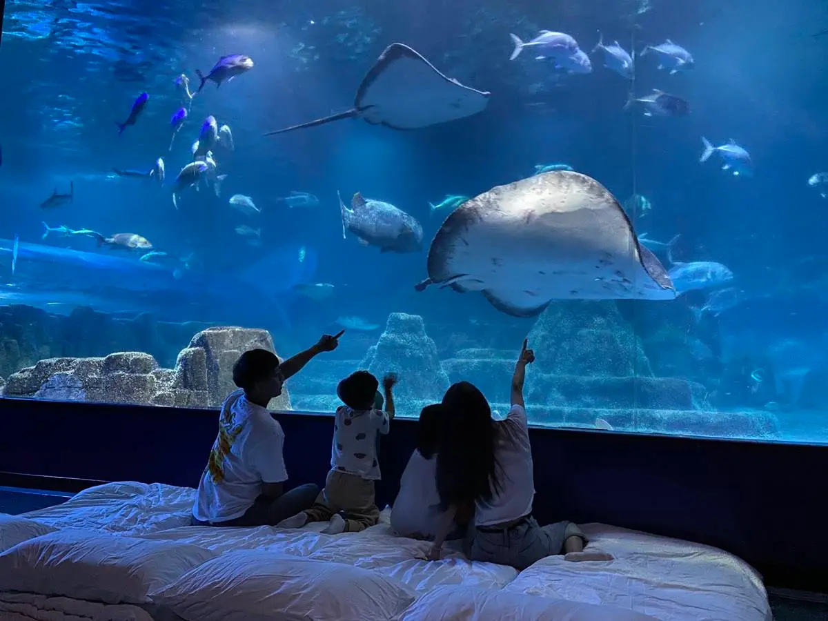 買1晚送1晚!高雄洲際酒店等3旅宿快閃好康,免費夜宿水族館、爽住打卡房 買1晚送1晚!高雄洲際酒店等3旅宿快閃好康,免費夜宿水族館、爽住打卡房