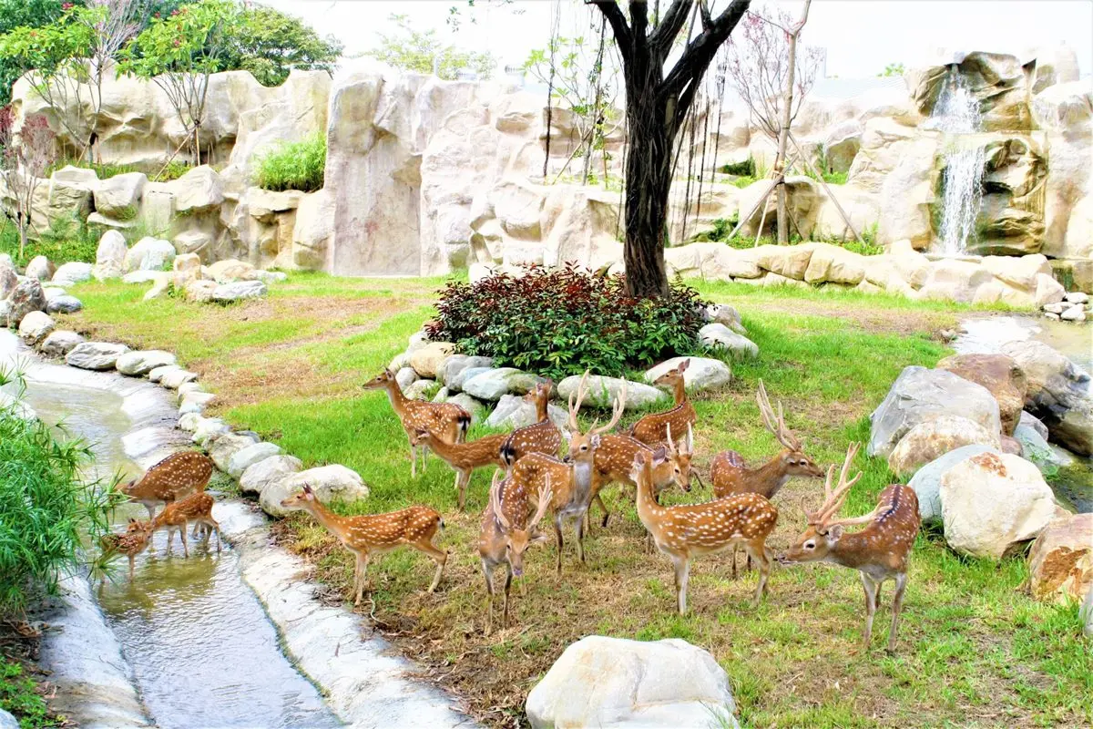 27組身分證限定!不到半價爽住台南飯店,還有買一送一、動物園門票優惠 27組身分證限定!不到半價爽住台南飯店,還有買一送一、動物園門票優惠