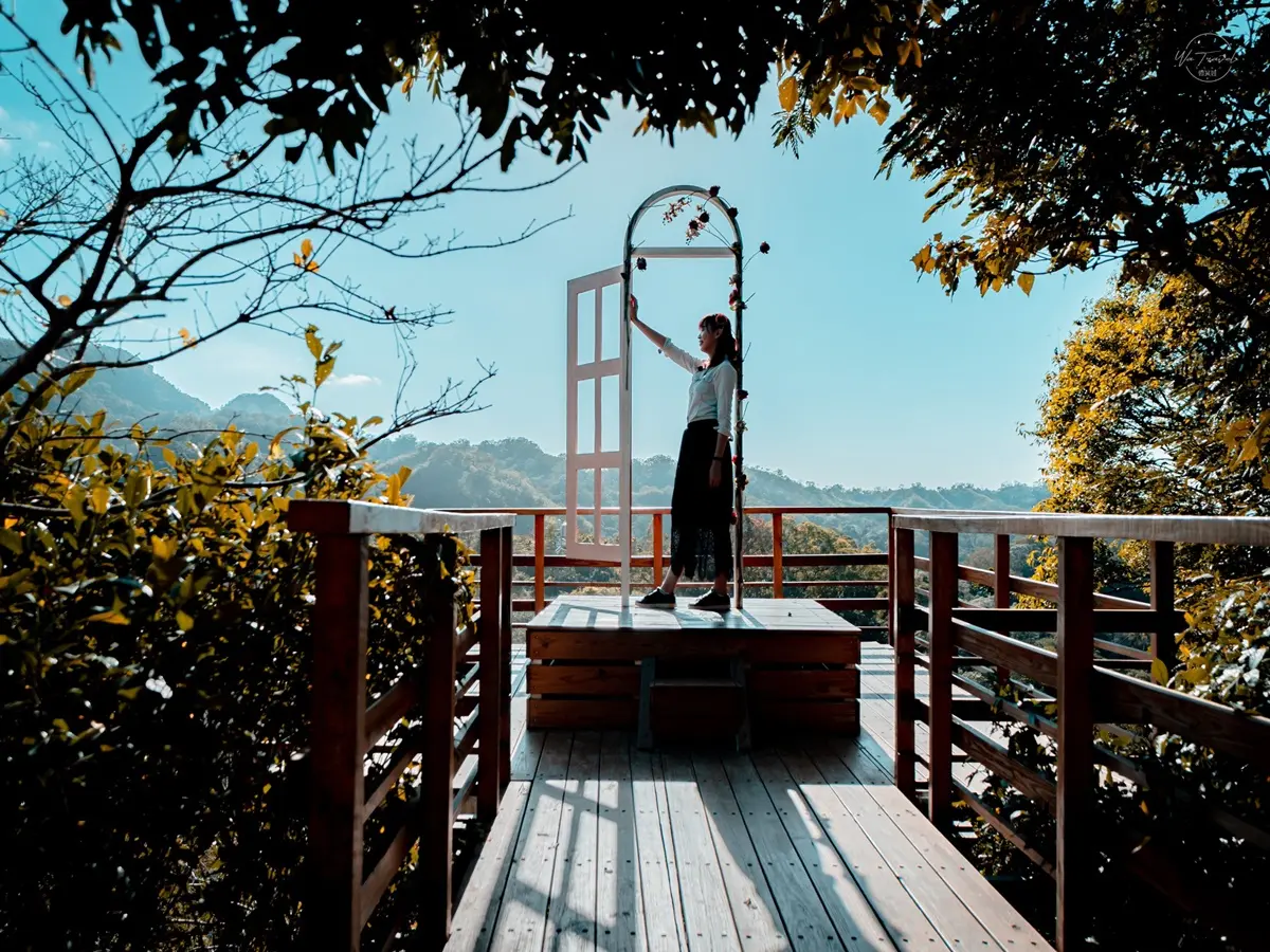 美拍祕境!苗栗森林果園打卡浪漫「橘子隧道」,夢幻玻璃屋網美最愛 美拍祕境!苗栗森林果園打卡浪漫「橘子隧道」,夢幻玻璃屋網美最愛