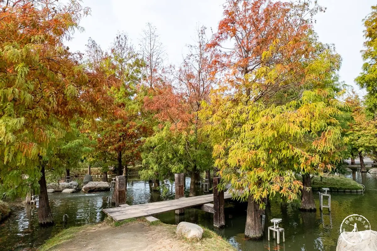 台版「兼六園」在這!雲林日式生態園打卡「愛心小島」,整片落羽松超好拍 台版「兼六園」在這!雲林日式生態園打卡「愛心小島」,整片落羽松超好拍