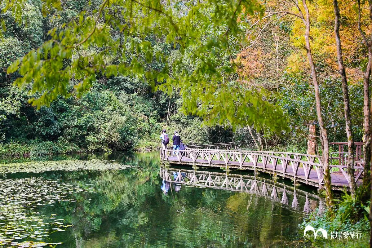 美拍祕境再+1!宜蘭植物園打卡絕美「綠色廊道」,還能賞整面湖泊倒影 美拍祕境再+1!宜蘭植物園打卡絕美「綠色廊道」,還能賞整面湖泊倒影