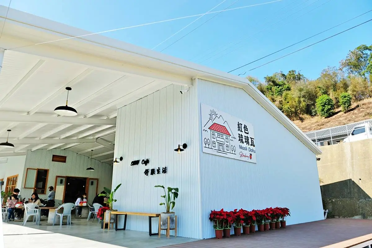 隱身在咖啡廳的草莓園！苗栗「韓系咖啡館」能採大湖草莓，還要點綿密雪酪冰
