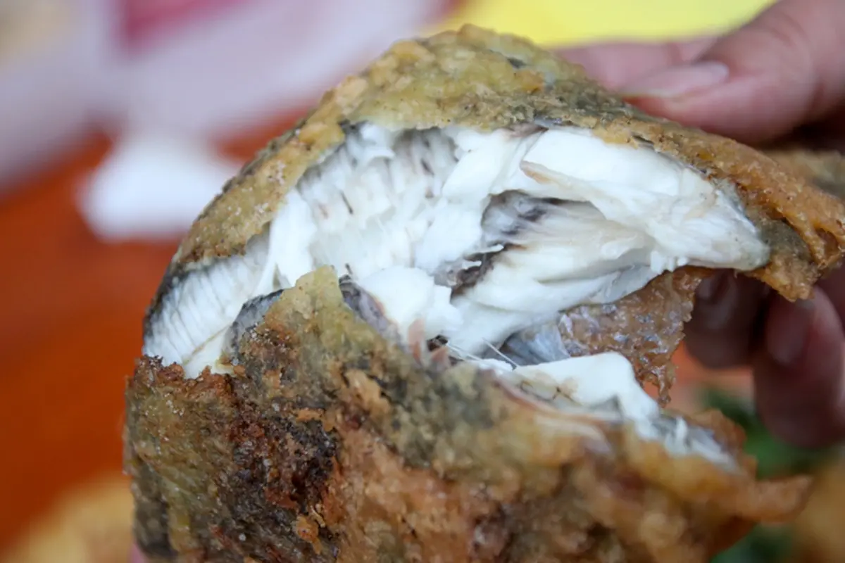 台南超狂海產批發商！整尾現炸吳郭魚只要50元，隱藏版「炸蝦加蚵嗲」也必點