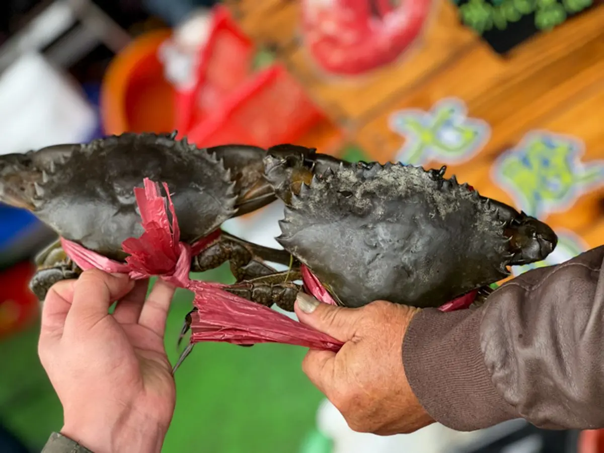 台南超狂海產批發商！整尾現炸吳郭魚只要50元，隱藏版「炸蝦加蚵嗲」也必點