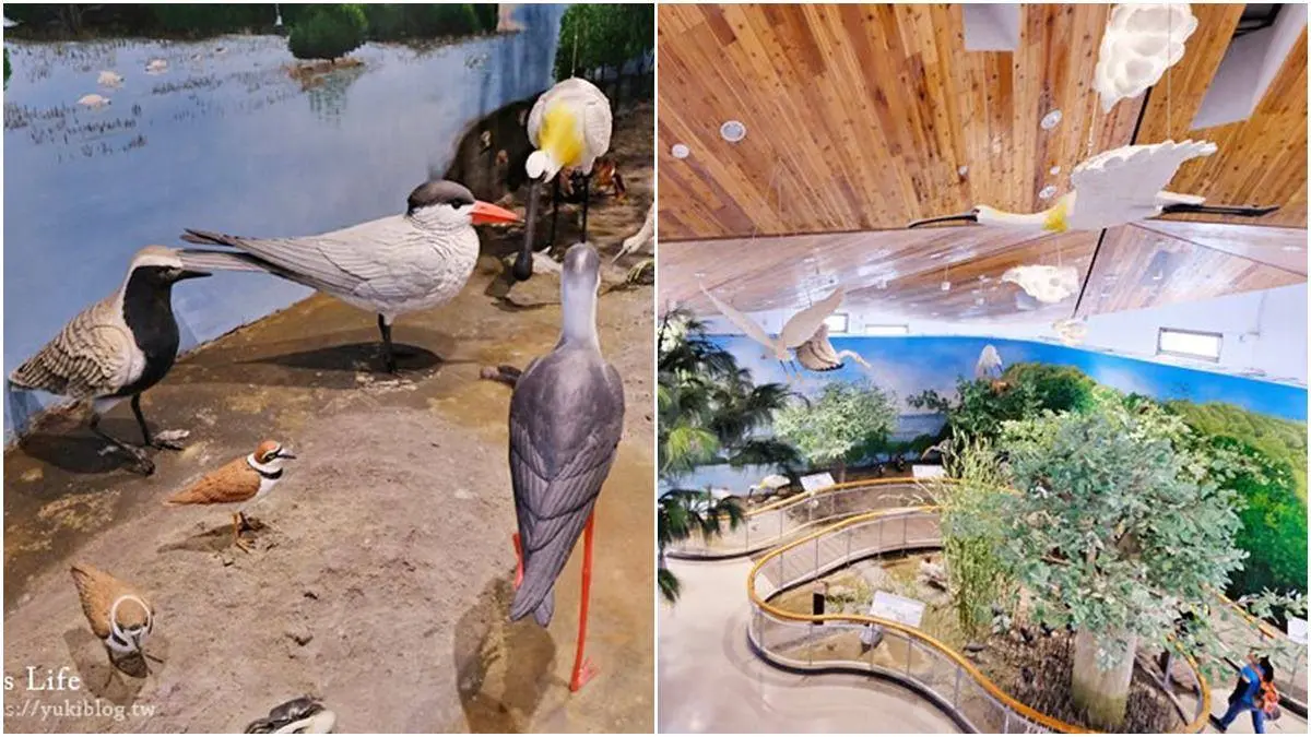 親子出遊首選！台南５大超好玩「免門票景點」：香腸博物館、國家公園生態區