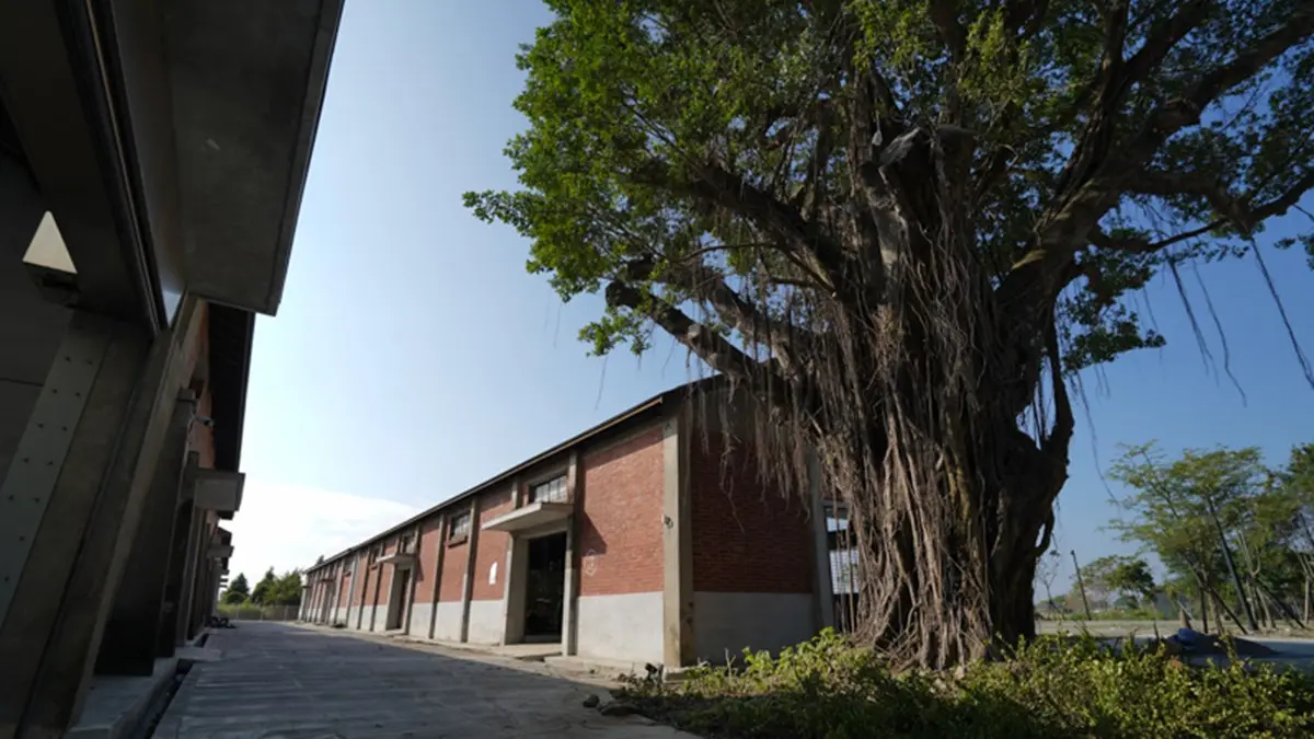 全台最大「沉浸式劇場」在台南！必拍「嘉南大圳」場景，還有巨型彈珠台可玩