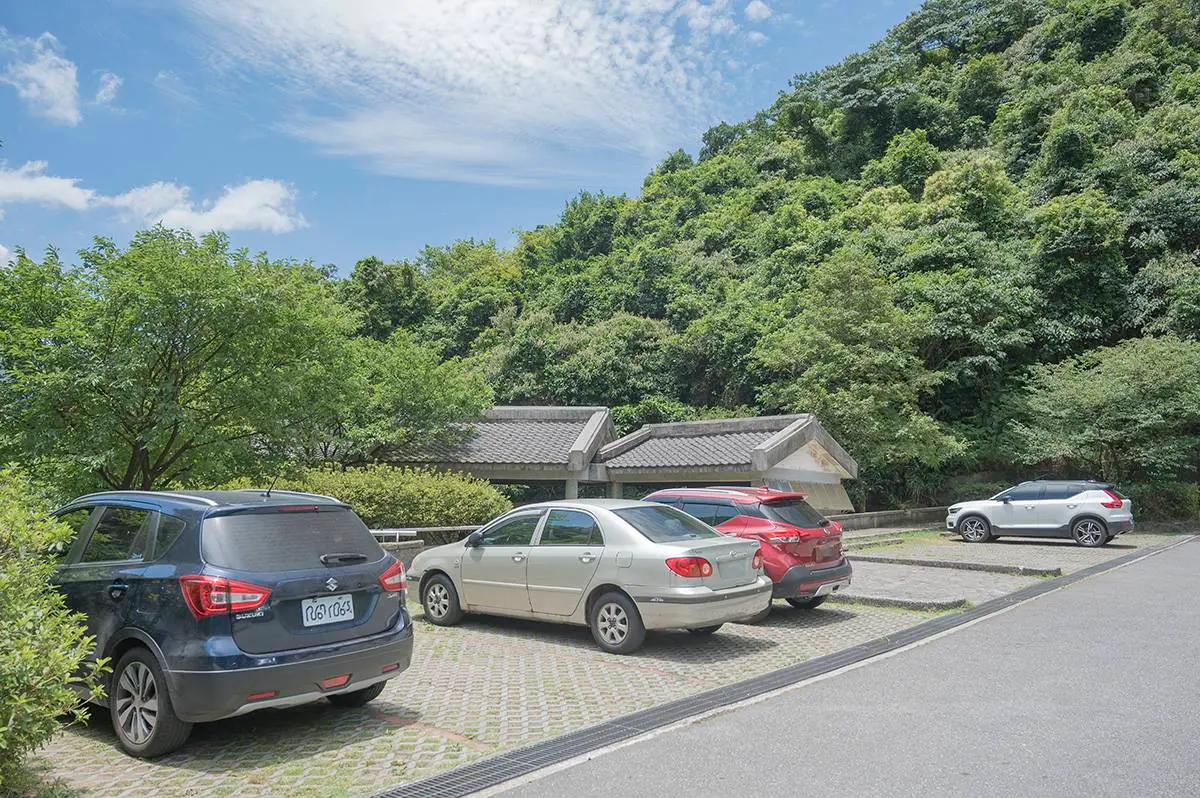 不用花錢爽泡湯！陽明山「溫泉祕境」享受天然牛奶泉，迷你瀑布宛如置身森林