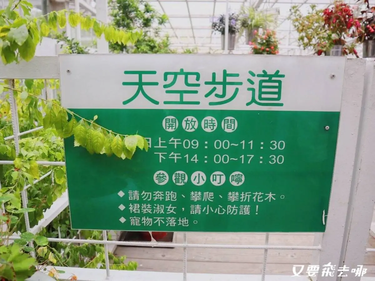 全台首座「香味主題館」！必拍夢幻白色玻璃屋、天空步道，還有彩繪盆栽DIY