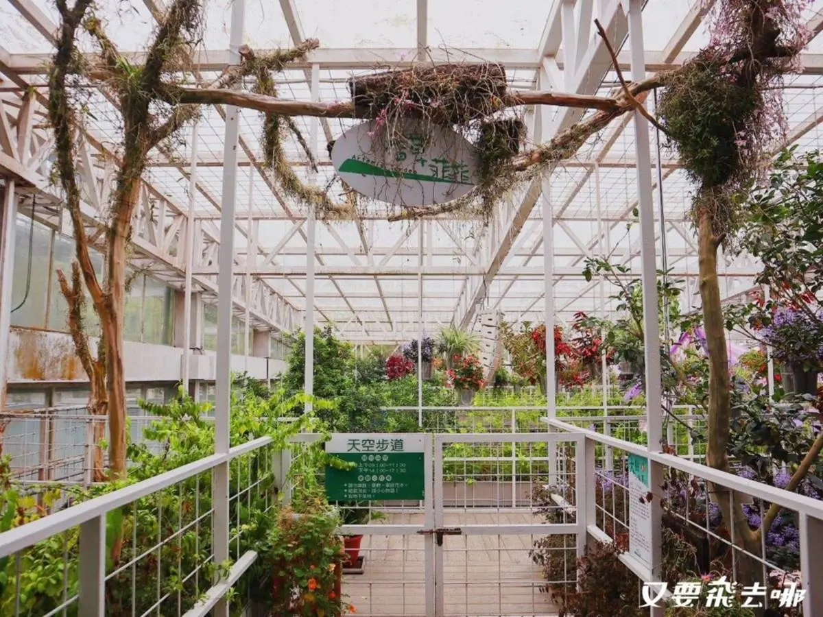 全台首座「香味主題館」!必拍夢幻白色玻璃屋、天空步道,還有彩繪盆栽DIY 香草菲菲|全台最大室內玻璃屋