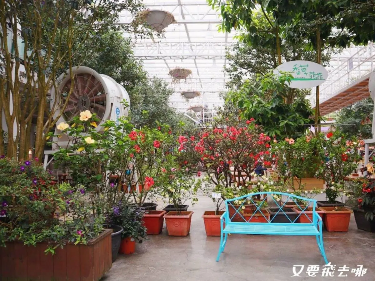 全台首座「香味主題館」！必拍夢幻白色玻璃屋、天空步道，還有彩繪盆栽DIY