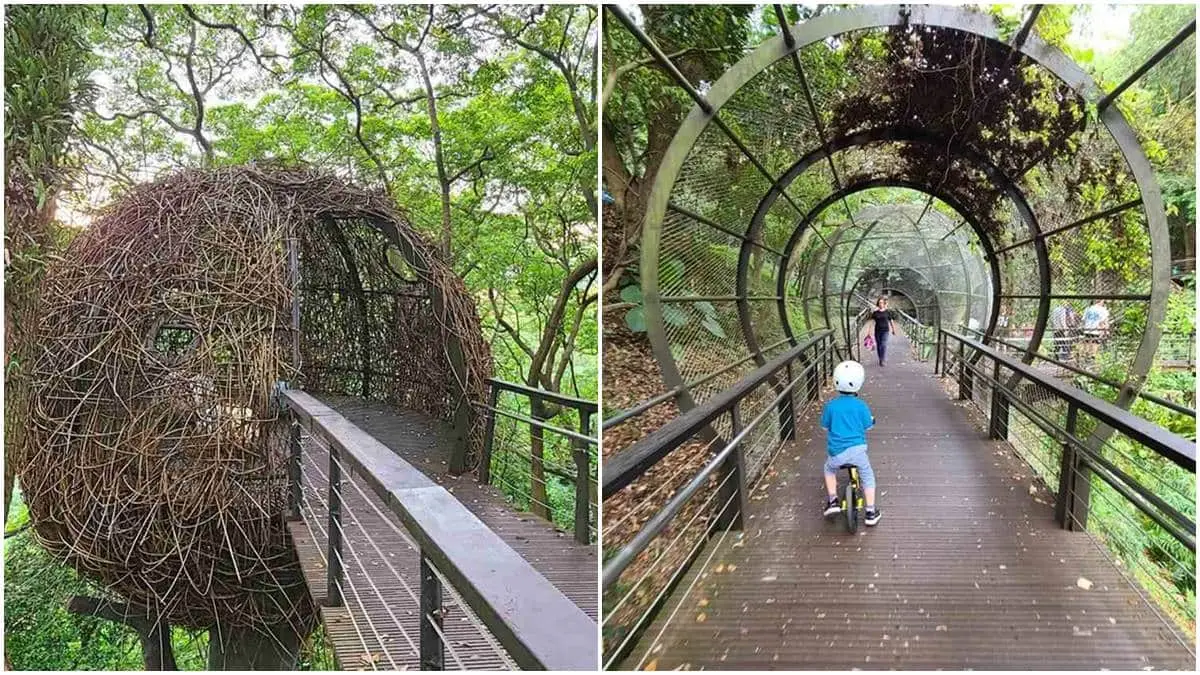 秒殺記憶體!北部8條美拍步道:遠眺太平洋海景、銀白仙境瀑布、森林鳥窩 秒殺記憶體!北部8條美拍步道:遠眺太平洋海景、銀白仙境瀑布、森林鳥窩