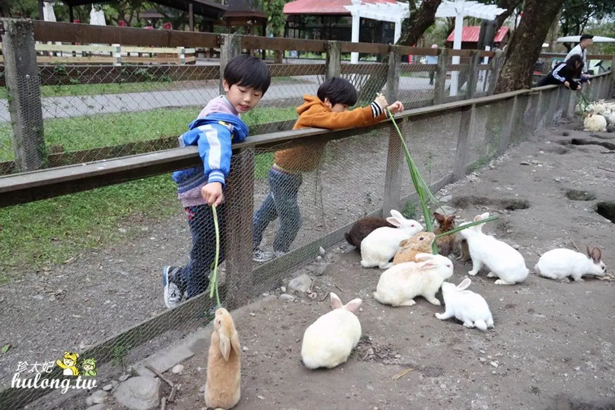 好玩又好拍！花蓮親子２天１夜遊：海景沙坑、花蓮最大動物園、台版哈比村