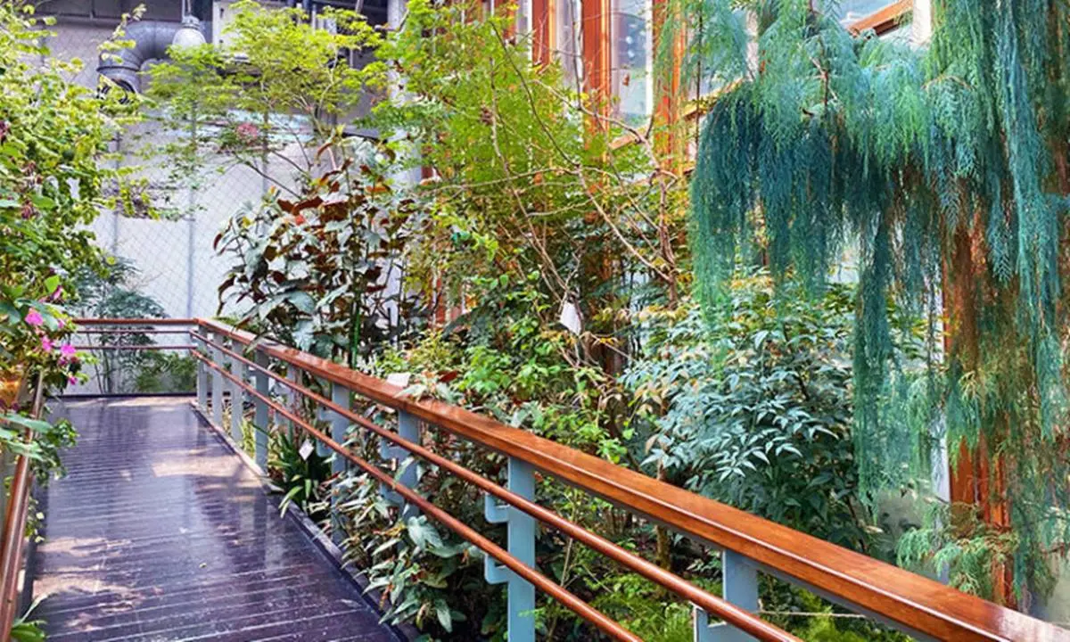 森林系網美必收！北中南６大超好拍「花草景點」：仙人掌綠洲、歐風玫瑰園