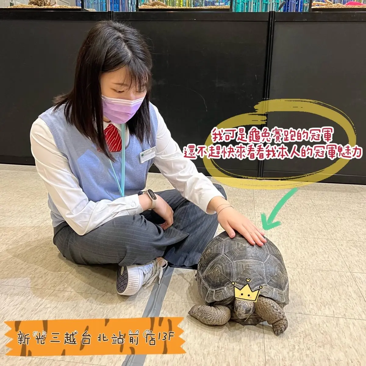 宮崎駿龍貓、獅子王丁滿現身百貨！珍稀物種展免費看，還有全台唯一甲蟲餐廳