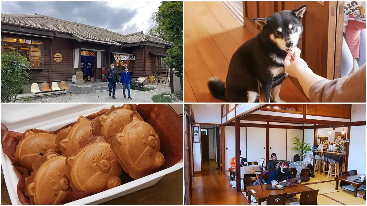 呼叫柴犬控！花蓮「日式古蹟咖啡廳」打卡必點超萌柴田燒，還有店狗柴柴陪吃