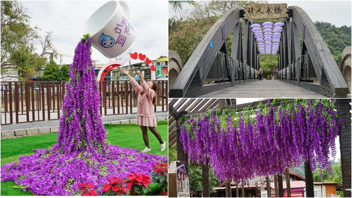 免飛日本賞夢幻紫藤花!台中「石岡花漾園區」打卡騰空紫色花瀑、紫雨傘隧道