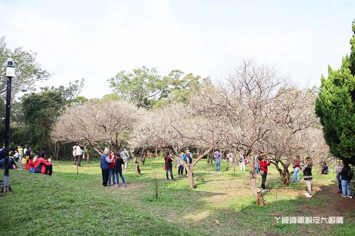 約會先止步！網傳７處「情侶禁地」分手率極高，超夯觀景吊橋、天鵝湖都NG