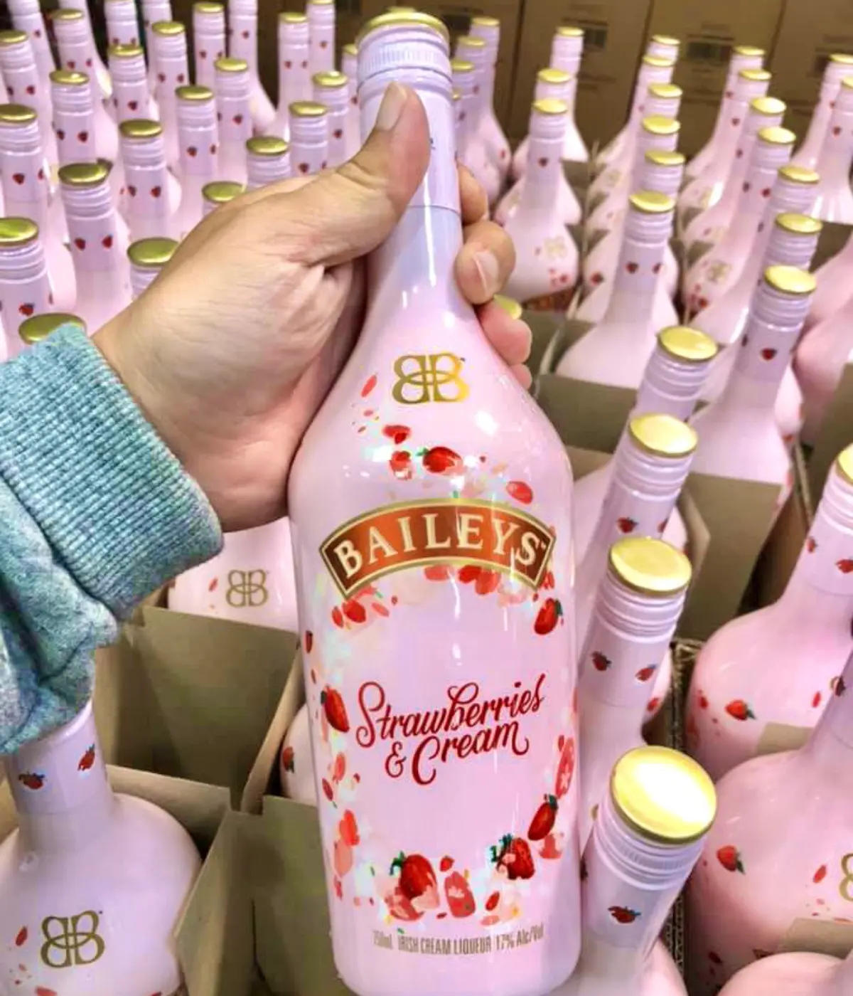 好市多3大夯品回歸!酒控先囤微甜白酒、草莓奶酒,還有CP值破表優格碳酸飲 好市多3大夯品回歸!酒控先囤微甜白酒、草莓奶酒,還有CP值破表優格碳酸飲
