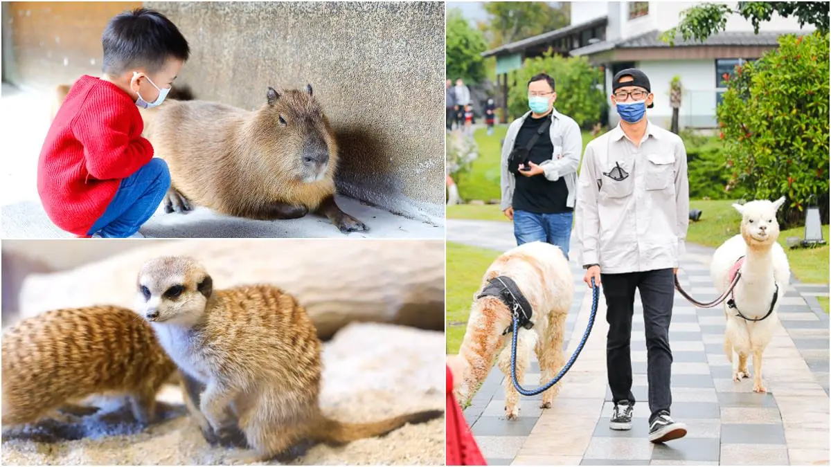 最低4折入住!宜蘭4大「親子飯店」玩到不想回家,免費互動水豚君、玩賽車 最低4折入住!宜蘭4大「親子飯店」玩到不想回家,免費互動水豚君、玩賽車