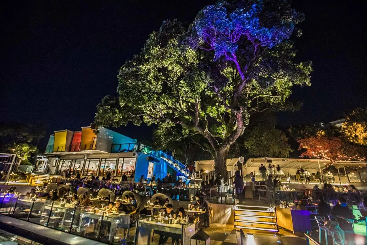 白天夜晚都美爆!陽明山9家打卡景觀餐廳:夜景第一排、森林系玻璃屋 白天夜晚都美爆!陽明山9家打卡景觀餐廳:夜景第一排、森林系玻璃屋