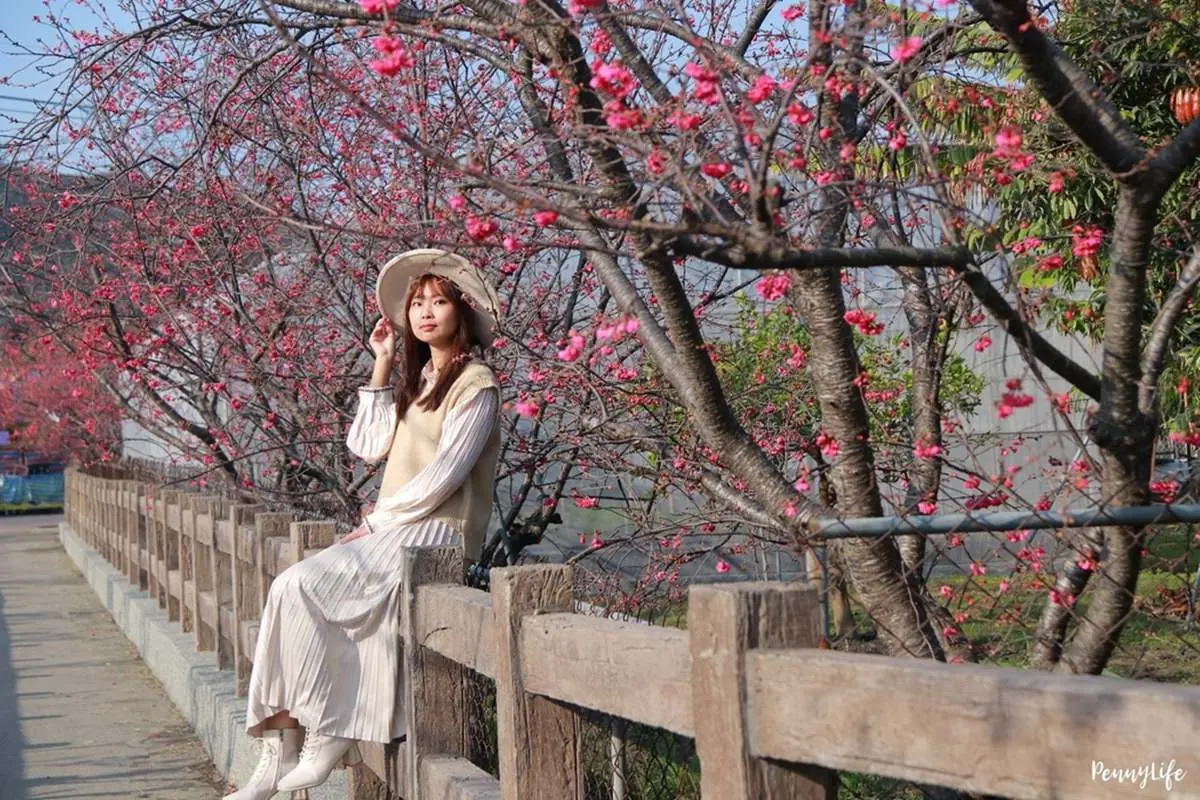 228連假衝台中!打卡300公尺炮仗花牆、千坪櫻花公園,順路吃超有哏地獄炒飯 228連假衝台中!打卡300公尺炮仗花牆、千坪櫻花公園,順路吃超有哏地獄炒飯